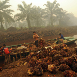 Niños es una plantación de palma en Indonesia. REUTERS