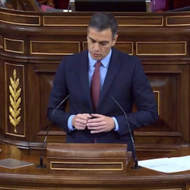 Pedro Sánchez, a Santiago Abascal: "La realidad va por un lado y usted por otro"