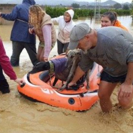 Varias personas evacuan a unos perros de las inundaciones en Málaga.