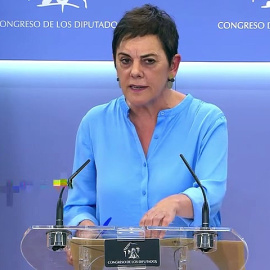 VÍDEO | Los aliados del Gobierno piden que se esclarezca la actuación policial marroquí en suelo español tras el salto a la valla