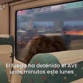 Zamora revive su peor incendio: Dos fallecidos y al menos 25.000 hectáreas calcinadas