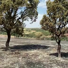 Los incendios activos en España se han cobrado ya dos vidas