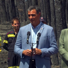 Pedro Sánchez anuncia que el Gobierno declarará como "zona catastrófica" todos los territorios afectados por los incendios de este año