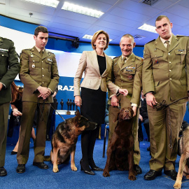 La Unidad Cinológica de las Fuerzas Armadas, acompañada por la ministra de Defensa María Dolores de Cospedal, este martes en Madrid. EFE/FERNANDO VILLAR