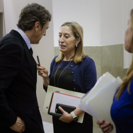 La presidenta del Congreso, Ana Pastor, conversa con el portavoz parlamentario del PP, Rafael Hernando. EFE