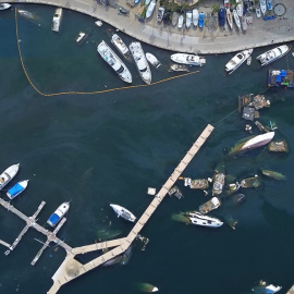 Ambientalistas alertan del daño a corales por la falta de retiro de yates y embarcaciones en Acapulco tras Otis