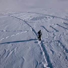 Original protesta de Greenpeace en Davos