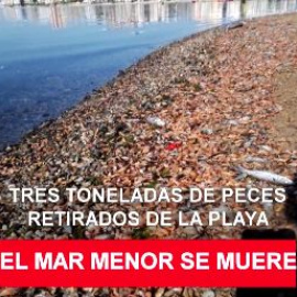 Mar Menor, mar muerto