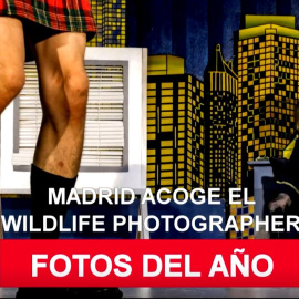 Wildlife Photographer of the Year regresa a Madrid