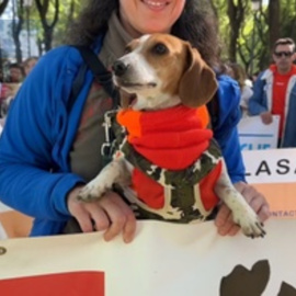 Manifestación en Sevilla para pedir la prohibición de la caza con perros