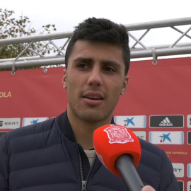 Rodrigo y Santi Cazorla, concentrados para la Fase de Clasificación