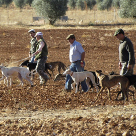 Galgueros en una jornada de caza. EFE/ Archivo