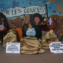 Animalistas en Indonesia protestan contra la exportación de ranas a Francia