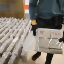 Localizados en Zaragoza 1.200 kilos de hachís en un camión que transportaba fruta a Italia