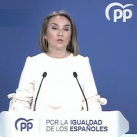 El PP denuncia el caso Koldo ante la oficina europea de lucha contra el fraude