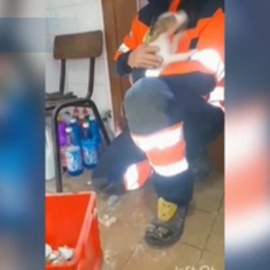 Rescatan vivo a un perro de un conducto de ventilación donde cayó tres días antes en Málaga