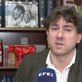 Andueza: El PSE-EE va a decidir cuál será la coalición de gobierno en Euskadi