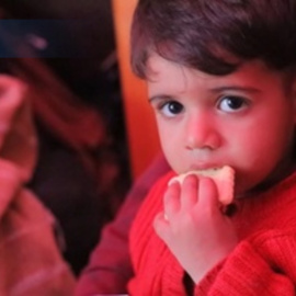 UNICEF alerta de la hambruna que vive la población en el norte de la Franja de Gaza