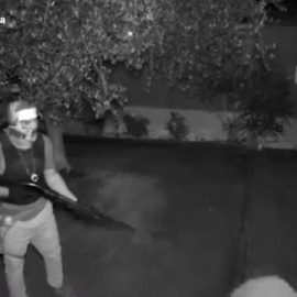 Así se hacían pasar por policías los miembros de una banda que asaltaba plantaciones de marihuana