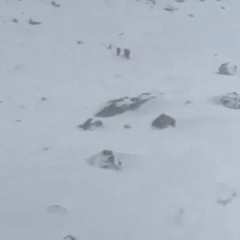 Los bomberos tienen que rescatar a varios excursionistas en Madrid y Lleida