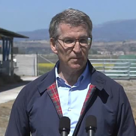 Feijóo ironiza con la última encuesta del CIS: "Cuanta más corrupción en el PSOE, parece ser que más suben en las encuestas"