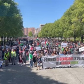 Pamplona sale a la calle para rechazar el "genocidio" sobre Palestina
