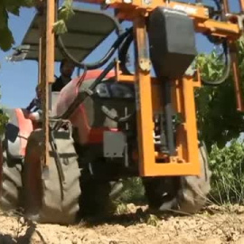 Freixenet anuncia un ERTE que afectará a 615 trabajadores