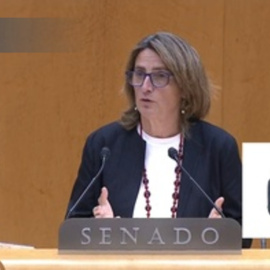 Ribera acusa a la derecha de populismo en defensa del campo y PP le afea su "ecopostureo"