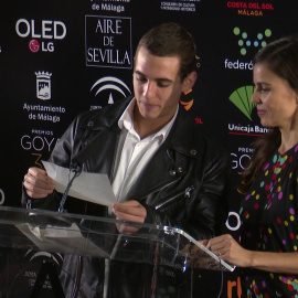 "Mientras dure la guerra" recibe 17 nominaciones a los Goya