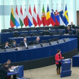 PP y PSOE se acusan de inacción en el Parlamento Europeo por el vertido de 'pellets'