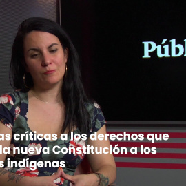 Manuela Royo: Sobre las críticas de sectores de la derecha y el centroizquierda a los derechos que otorga la nueva Constitución a los pueblos indígenas