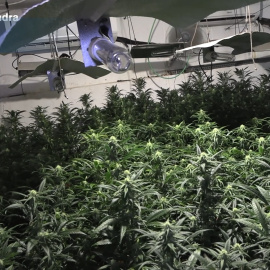 Los Mossos detienen a 12 personas dedicadas al tráfico de drogas desde El Prat