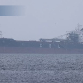 Buques de carga fondean en la bahía de Chesapeake tras el cierre del puerto de Baltimore