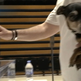 Abren las puertas los 2.695 colegios electorales distribuidos por toda Cataluña