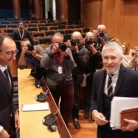 Marlaska se defiende del alud de críticas de partidos y ong que exigen "responsabilidades"