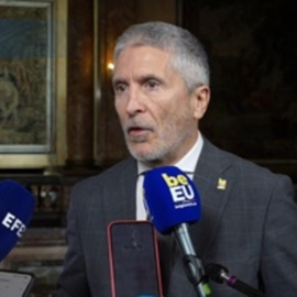 Grande-Marlaska asegura que el PSOE "nunca ha estado en el extrarradio de la Constitución"