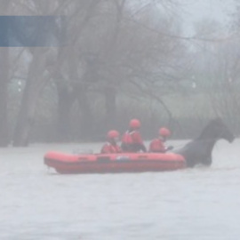Rescatan a un caballo atrapado en terrenos inundados en Jundiz (Vitoria)