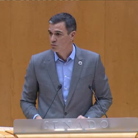 Sánchez y Feijóo chocan nuevamente en el Senado sobre la situación económica y sobre cómo superar la crisis