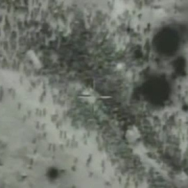 Un nuevo ataque de Israel sobre palestinos que buscaban comida indigna al mundo