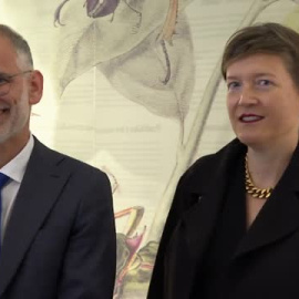 El Museo Fundación Joan Miró Inaugura la exposición de Paul Klee