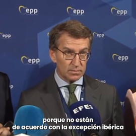 Feijóo contradice a Von der Leyen pero niega haber llamado "timo" a la excepción ibérica