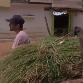 Una aldea de La India crea su propio Bollywood en Youtube