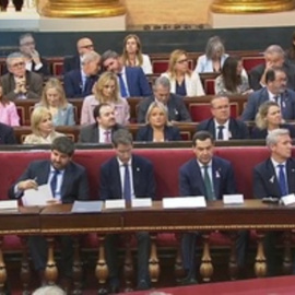 Presidentes autonómicos debatirán la amnistía el lunes en el Senado