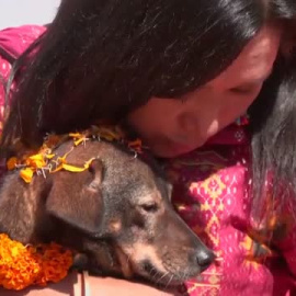 Cuidar perros como ofrenda divina