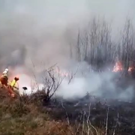 Trece fuegos permanecen activos en Asturias