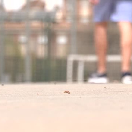 Uno de cada cuatro jóvenes sufre soledad no deseada