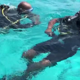 Los corales marinos, una joya de la humanidad amenazada por el cambio climático