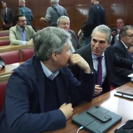 Santos Cerdán cuenta en el Senado su relación con Koldo