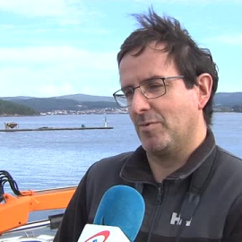 Preocupación en Noia por el delfín Manoliño al que se le ha visto con un fragmento de metal clavado