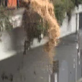 Protestas en Bruselas durante la reunión del Consejo de Ministros de Agricultura